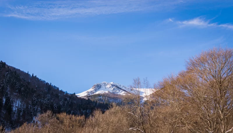 Снежные зимние горы с хвойным лесом