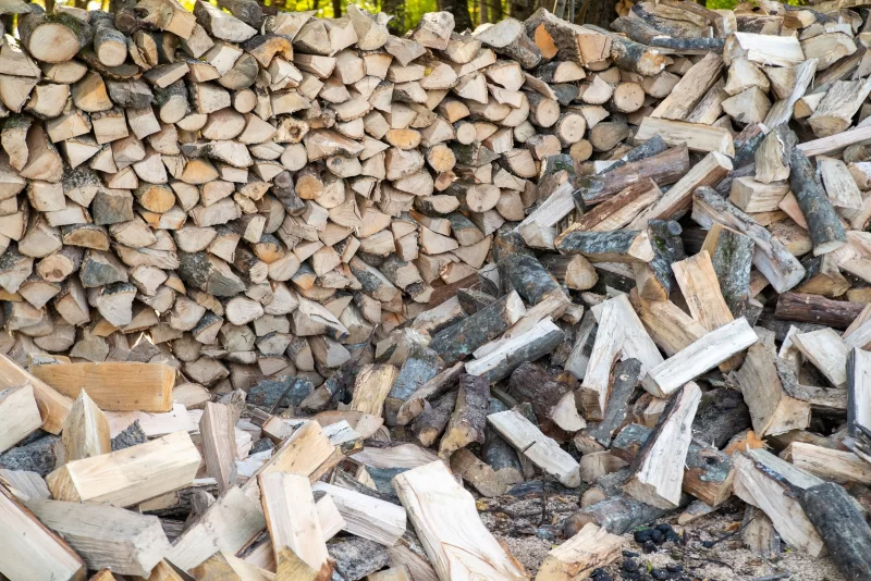 Поленница дров и отдельные бревна