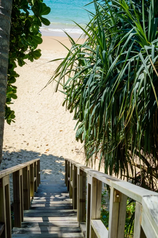 Wooden down way stairs to the beach