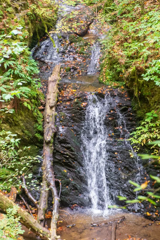 Маленький водопад в лесу Адыгеи с осенним листом