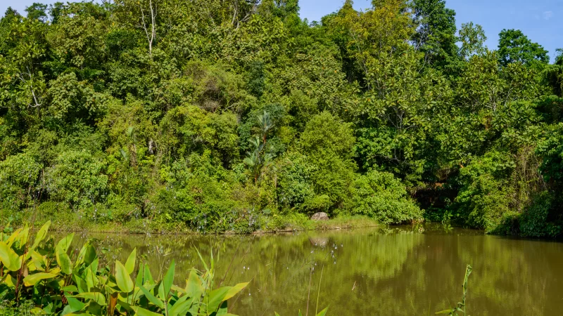 Tropical landscape, lake and hills