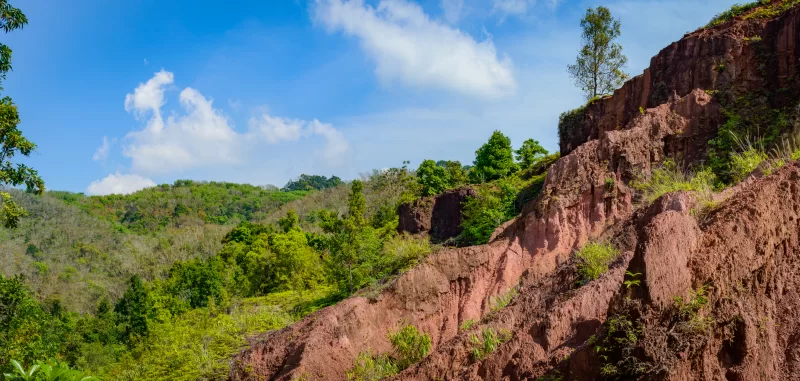 Летний горный пейзаж