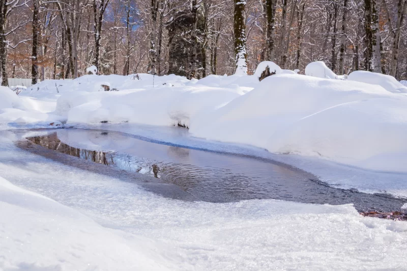 Зимний лес с талым ручьем и снежными берегами