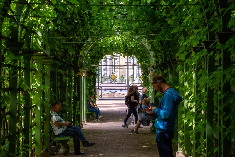 Зеленый тоннель с людьми в парке