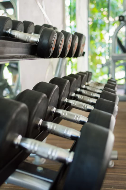 Rows of dumbbells in the modern gym