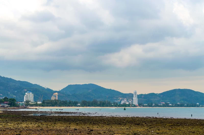 Вид на скалы на песчаном пляже во время отлива